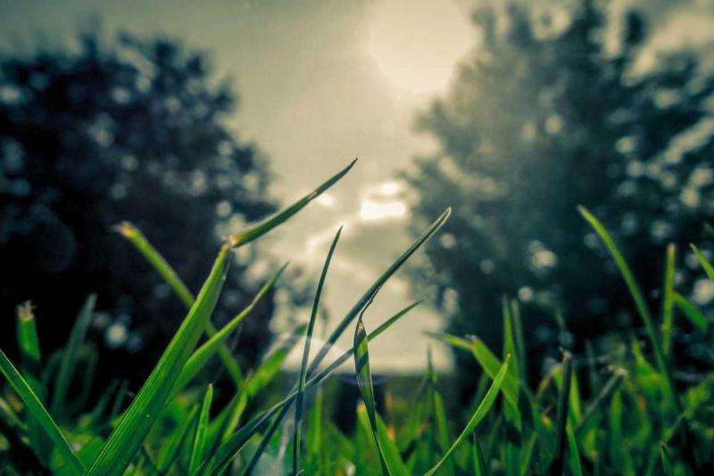 Eos sed omnis voluptatem illo iure.