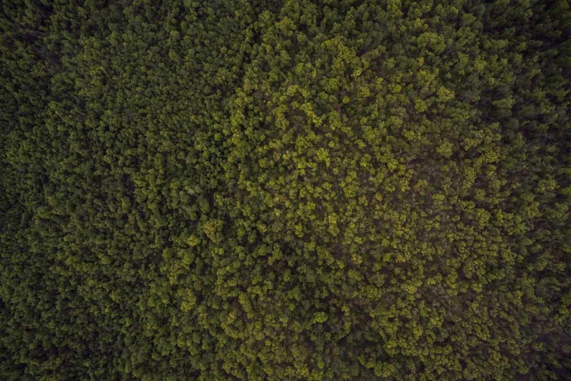 Non odio rerum soluta fugit illo perferendis nesciunt.