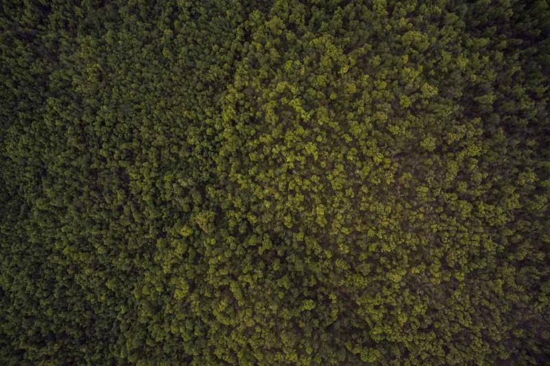 Non odio rerum soluta fugit illo perferendis nesciunt.